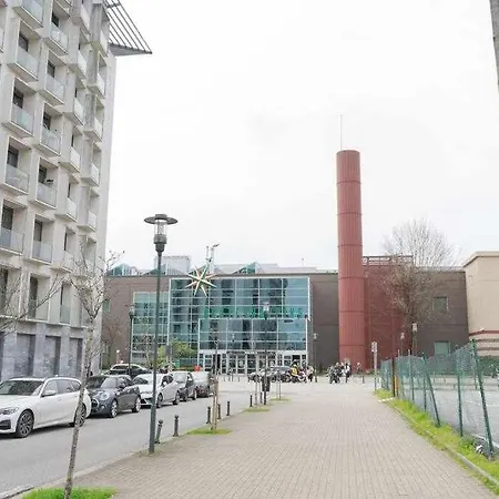 Marigold By Destiny Senhora da Hora